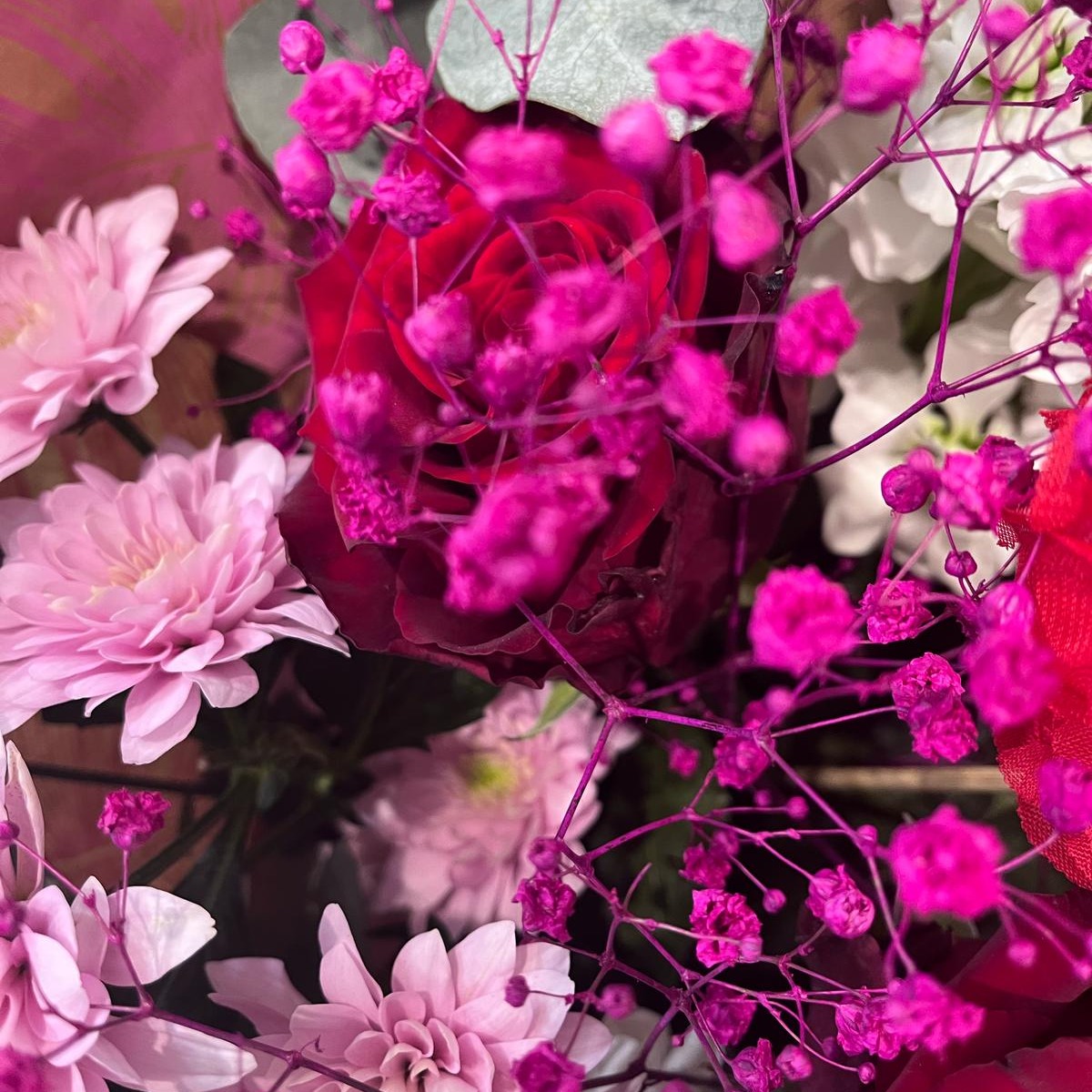 Photo de Dominique SAILLET